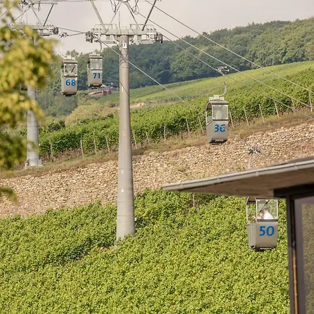 Apartment Talstation 20 / Innenstadt, 2 Schlafzimmer, Terrasse